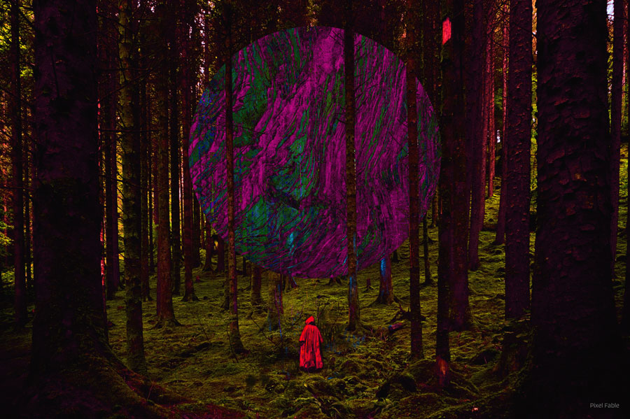 Navigator in Forest